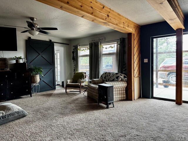 763 17th Trl, Cotopaxi, CO 81223 - photo 16