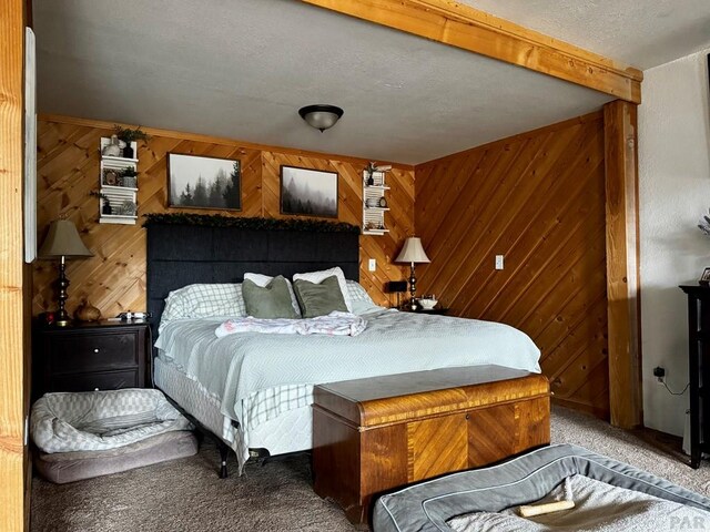 763 17th Trl, Cotopaxi, CO 81223 - photo 17