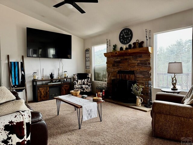 763 17th Trl, Cotopaxi, CO 81223 - photo 11