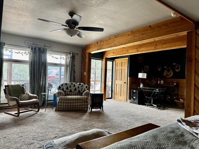 763 17th Trl, Cotopaxi, CO 81223 - photo 18