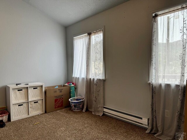 763 17th Trl, Cotopaxi, CO 81223 - photo 13
