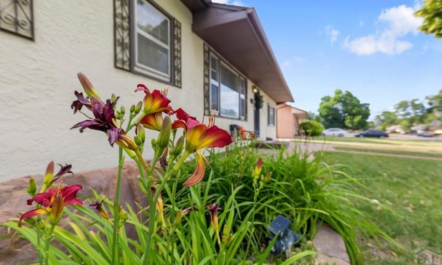 1921 Hollywood Dr, Pueblo, CO 81005 - photo 3