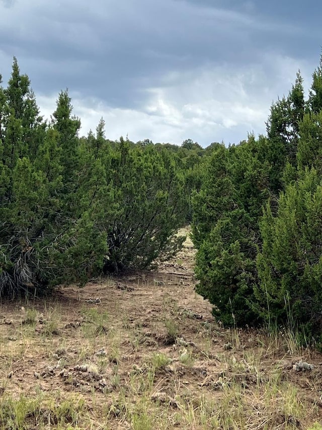 0 Sunrise Dr, Walsenburg, CO 81089 - photo 1