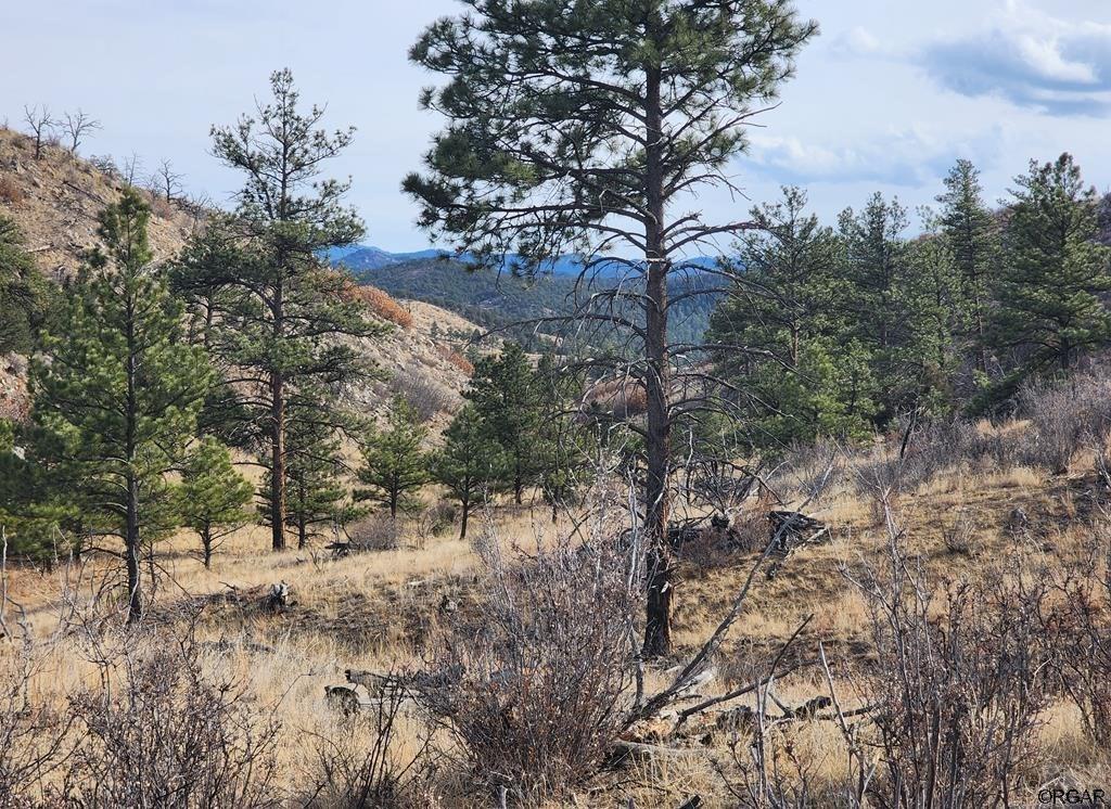 961 S Shannon Trl, Cotopaxi, CO 81223 - photo 2