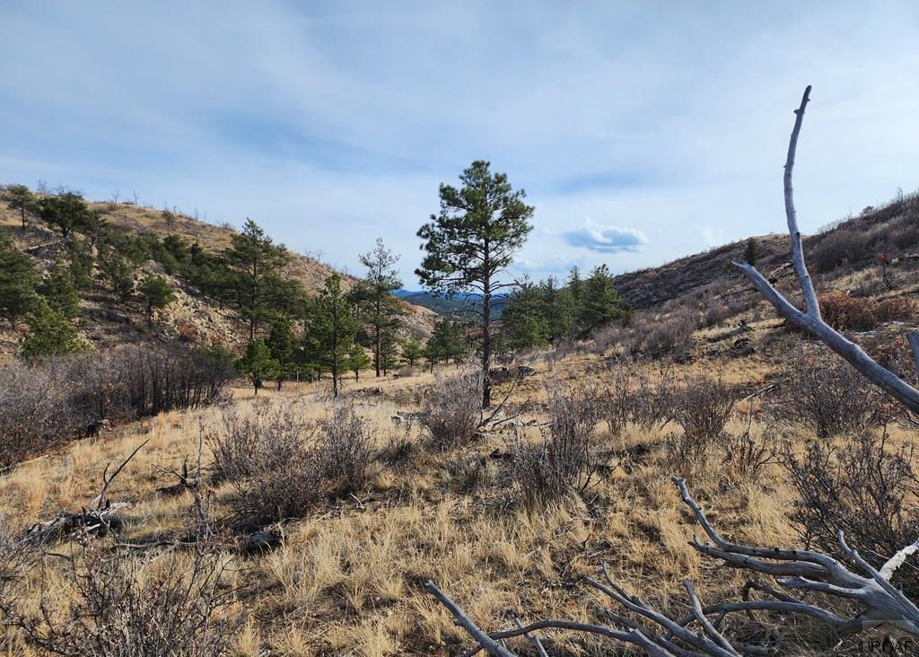 961 S Shannon Trl, Cotopaxi, CO 81223 - photo 1