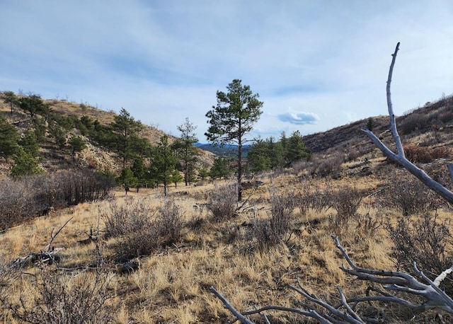 961 S Shannon Trl, Cotopaxi, CO 81223 - photo 1