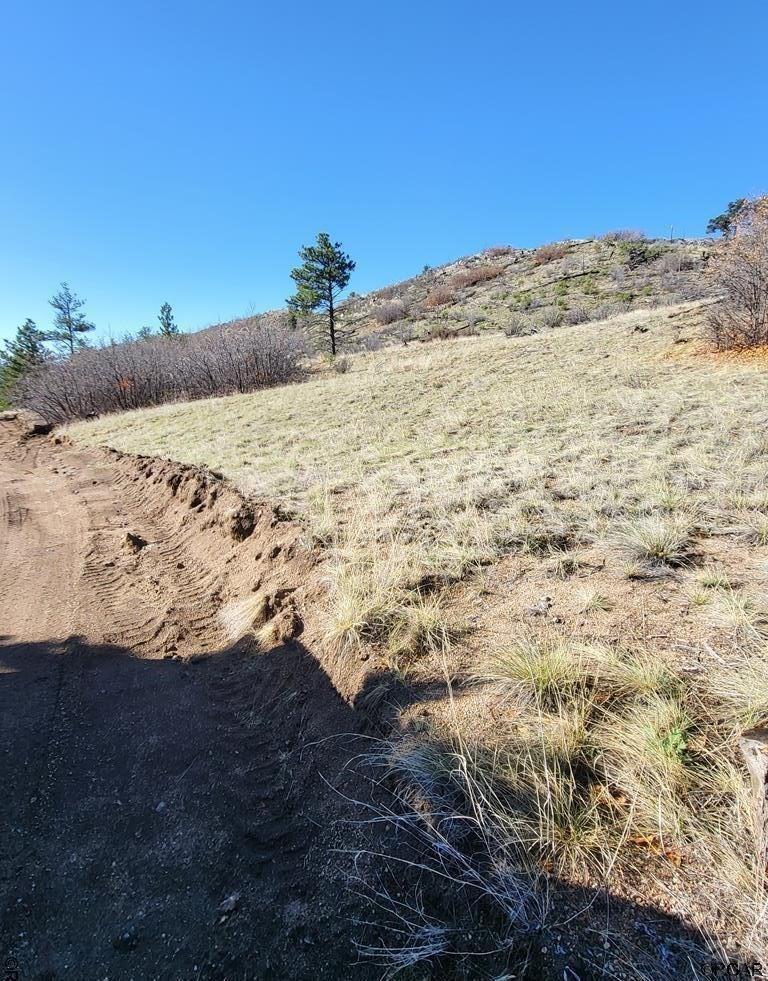 961 S Shannon Trl, Cotopaxi, CO 81223 - photo 3