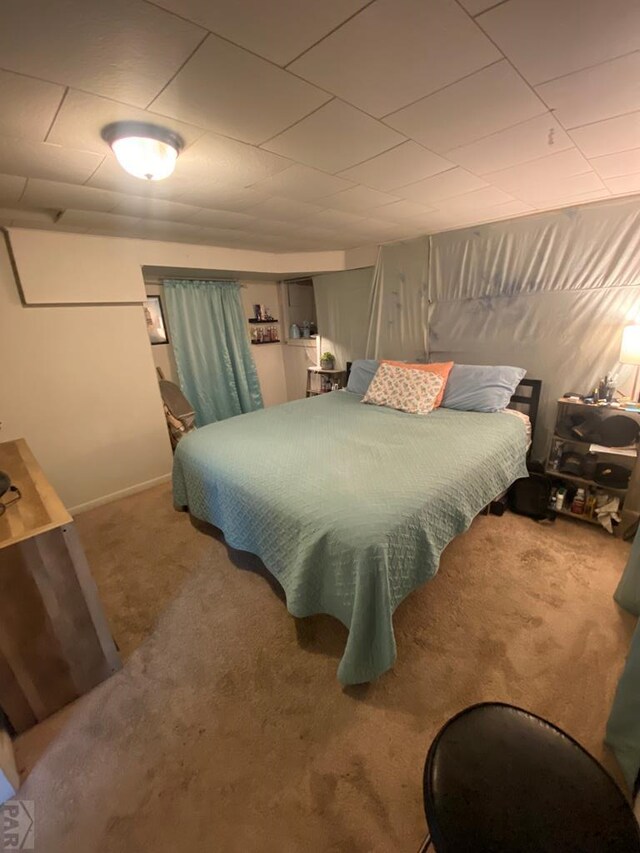 bedroom with carpet floors