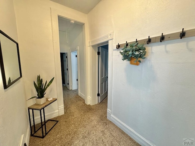 1308 Wabash Ave, Pueblo, CO 81004 - photo 10