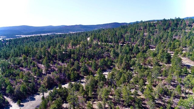 23251 Spirit Mountain Dr, Aguilar, CO 81020