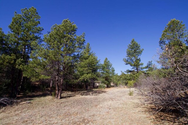23251 Spirit Mountain Dr, Aguilar, CO 81020