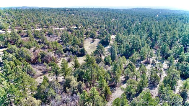 23251 Spirit Mountain Dr, Aguilar, CO 81020