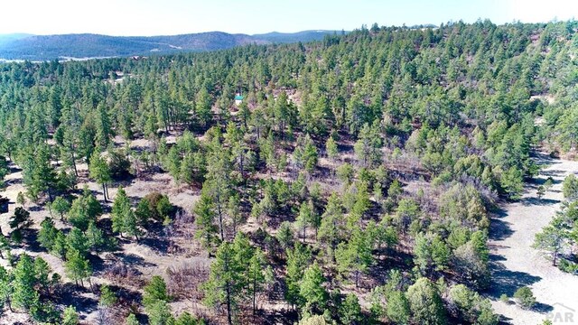 23251 Spirit Mountain Dr, Aguilar, CO 81020