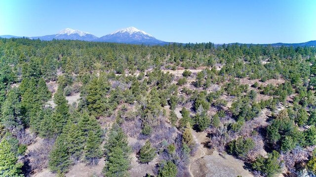 23251 Spirit Mountain Dr, Aguilar, CO 81020