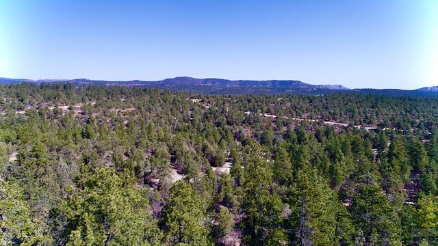 23251 Spirit Mountain Dr, Aguilar, CO 81020