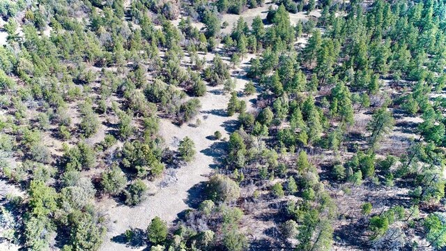 23251 Spirit Mountain Dr, Aguilar, CO 81020