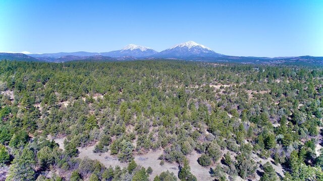23251 Spirit Mountain Dr, Aguilar, CO 81020