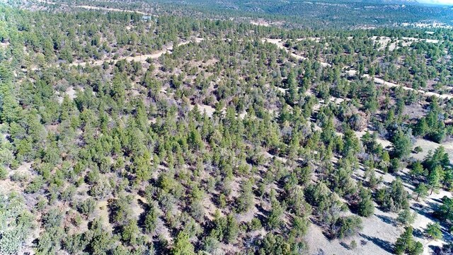 23251 Spirit Mountain Dr, Aguilar, CO 81020