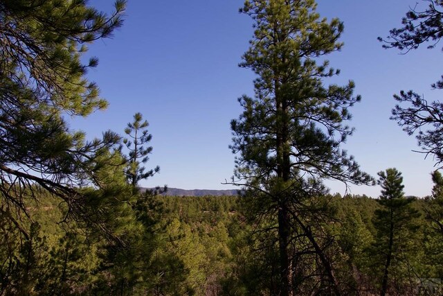 23251 Spirit Mountain Dr, Aguilar, CO 81020