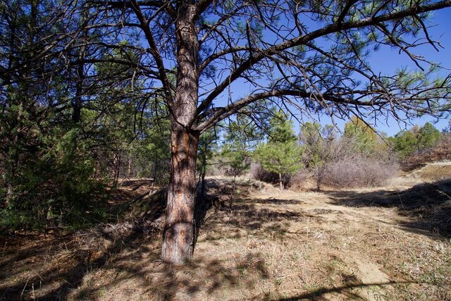 23251 Spirit Mountain Dr, Aguilar, CO 81020