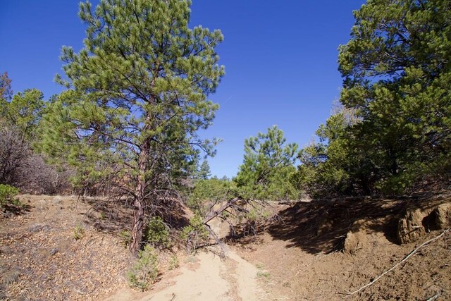 23251 Spirit Mountain Dr, Aguilar, CO 81020