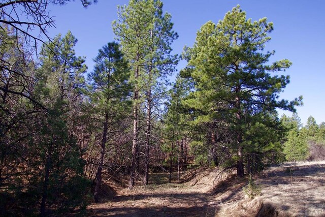 23251 Spirit Mountain Dr, Aguilar, CO 81020