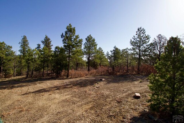23251 Spirit Mountain Dr, Aguilar, CO 81020