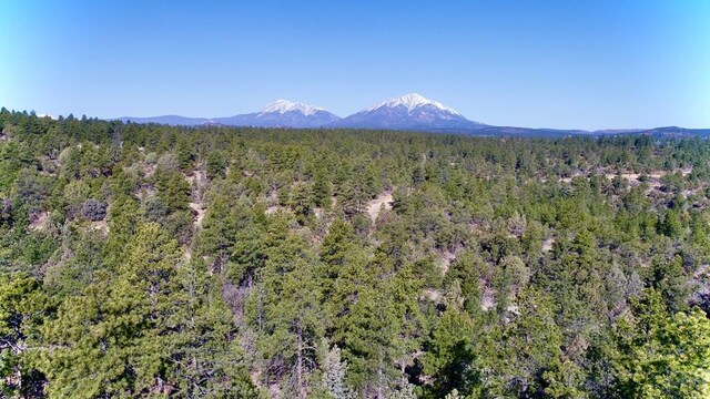 23251 Spirit Mountain Dr, Aguilar, CO 81020