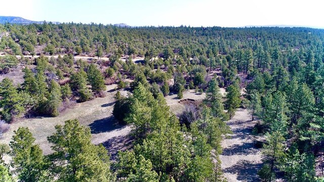 23251 Spirit Mountain Dr, Aguilar, CO 81020
