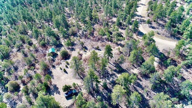 23251 Spirit Mountain Dr, Aguilar, CO 81020