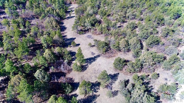 23251 Spirit Mountain Dr, Aguilar, CO 81020
