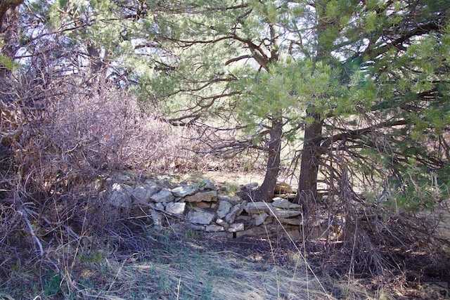 23251 Spirit Mountain Dr, Aguilar, CO 81020