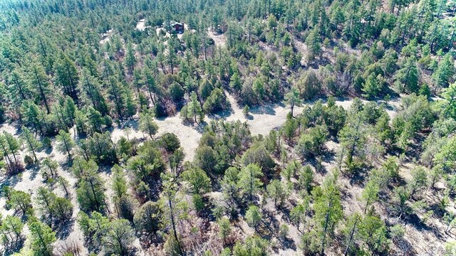 23251 Spirit Mountain Dr, Aguilar, CO 81020