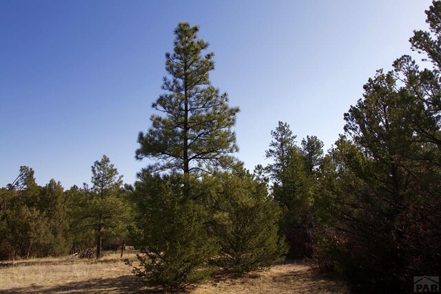 23251 Spirit Mountain Dr, Aguilar, CO 81020