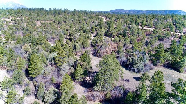 23251 Spirit Mountain Dr, Aguilar, CO 81020