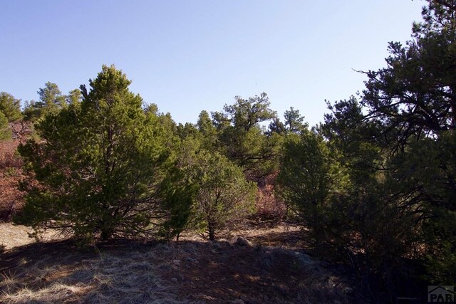 23251 Spirit Mountain Dr, Aguilar, CO 81020