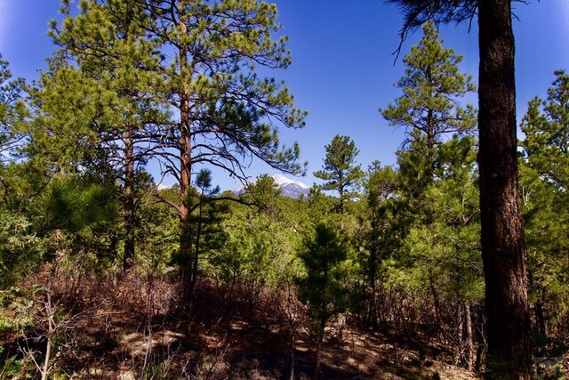 23251 Spirit Mountain Dr, Aguilar, CO 81020