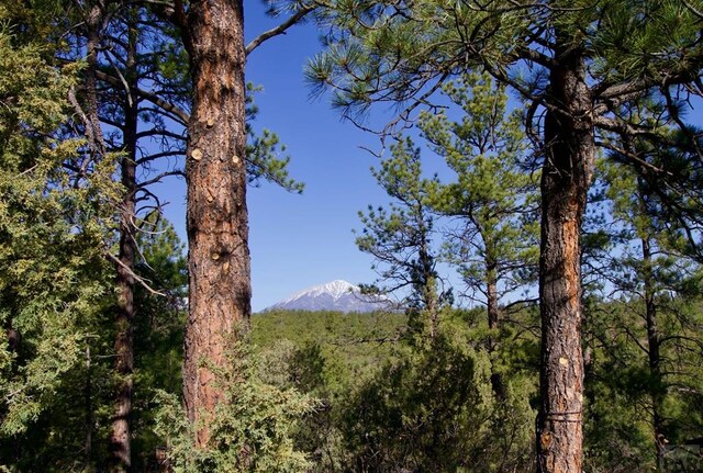 23251 Spirit Mountain Dr, Aguilar, CO 81020