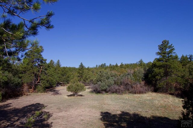 23251 Spirit Mountain Dr, Aguilar, CO 81020