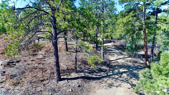 23251 Spirit Mountain Dr, Aguilar, CO 81020