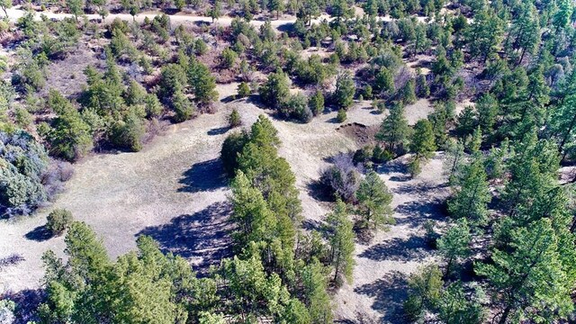 23251 Spirit Mountain Dr, Aguilar, CO 81020