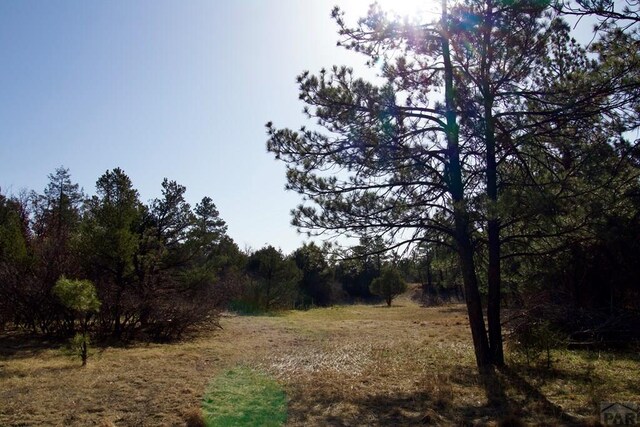 23251 Spirit Mountain Dr, Aguilar, CO 81020