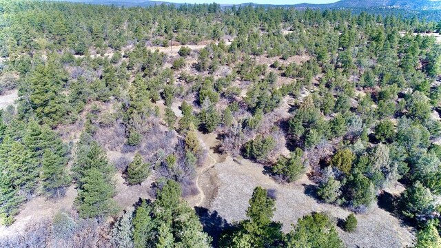 23251 Spirit Mountain Dr, Aguilar, CO 81020