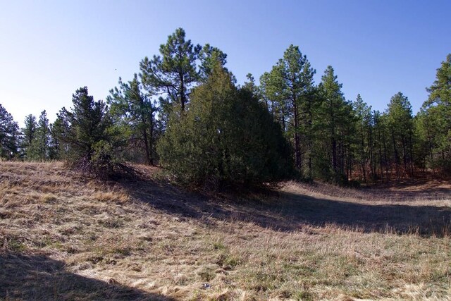 23251 Spirit Mountain Dr, Aguilar, CO 81020