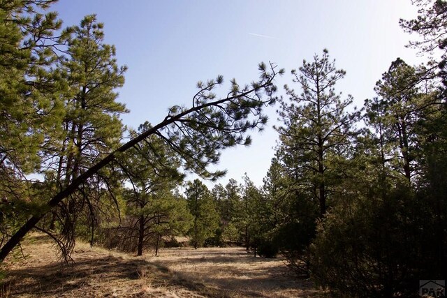 23251 Spirit Mountain Dr, Aguilar, CO 81020