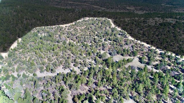 23251 Spirit Mountain Dr, Aguilar, CO 81020