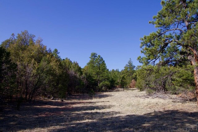 23251 Spirit Mountain Dr, Aguilar, CO 81020