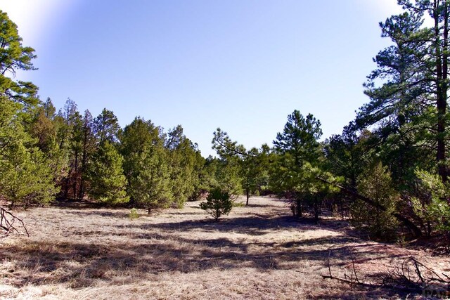 23251 Spirit Mountain Dr, Aguilar, CO 81020