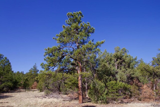 23251 Spirit Mountain Dr, Aguilar, CO 81020