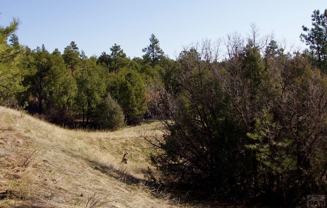 23251 Spirit Mountain Dr, Aguilar, CO 81020